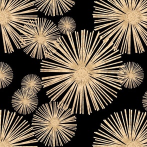 Large Gold fireworks at night / July 4