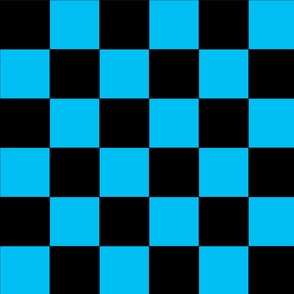 Sky Blue and Black Checkered Pattern