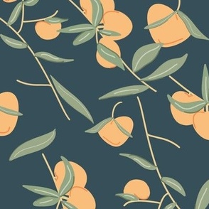 orange peach fruit and green leaves on midnight navy blue