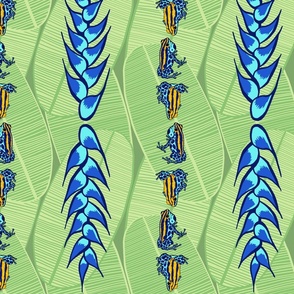 Dart frogs bromeliad flowers in stripes 