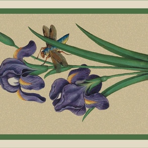 1515 Renaissance Floral: Iris