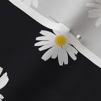 White daisies on soft black 90s tossed scattered (medium)