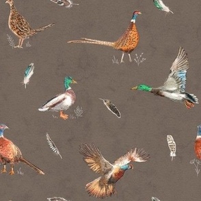 Game birds with mallard duck, pheasant and feathers, hunting
