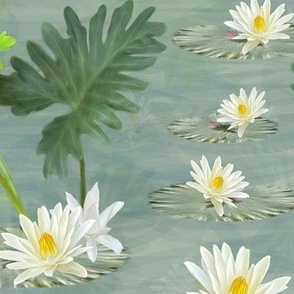 Sage and Chartreuse Green White Lily Flower Garden, Impressionist Sun Kissed Yellow Water Lilies, Botanical Garden Monet Style Art, Yellow White Floral, LARGE SCALE