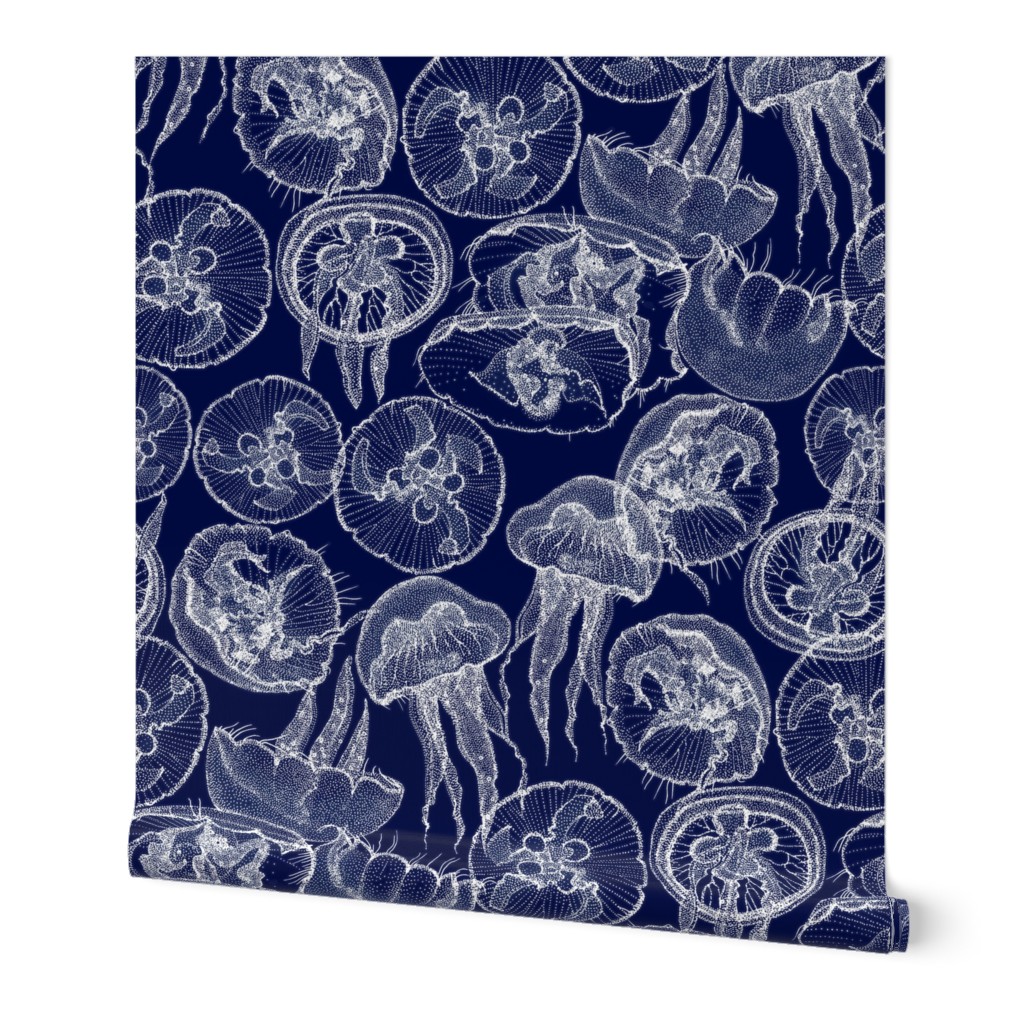 moon jellyfish midnight blue large