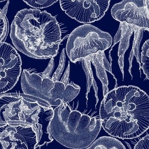 moon jellyfish midnight blue