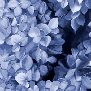 hydrangea flowers in Hampton blue