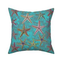 starfish on the ocean floor