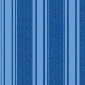 Ticking Stripe (Medium) - Pantone Little Boy Blue on Nautical  (TBS211)