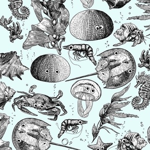 Googly Eyes Sea Life - Vintage Engraving Style Illustrations of Coastal Creatures