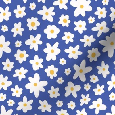 Medium  Spring white, yellow daisy on blue