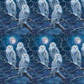 Adult Female Snowy Night Owls Under a Full Moon with Early Snow
