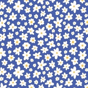 Small Spring white, yellow daisy on blue 