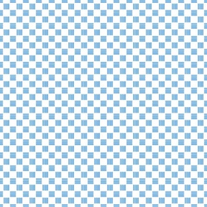 Bold Blue and White Checkered, x-small