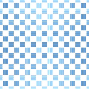 Bold Blue and White Checkered, small