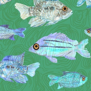 Tropical fish in textured ocean sea water - a trip to the beach: small, green .