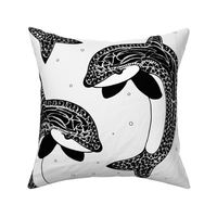 Black and White Orca Whale
