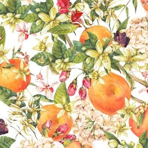 Watercolor Orange Fruit and Wildflowers on White
