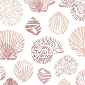 Shell Collector Shell pinks small