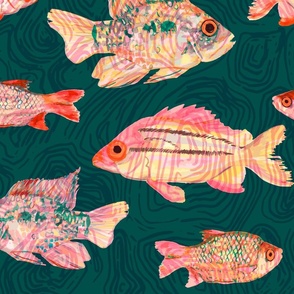Tropical fish in textured ocean sea water - a trip to the beach: small, pink rainbow