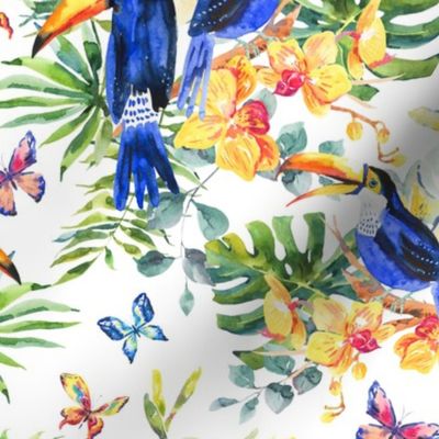 tropical bird toucan and flowers on white