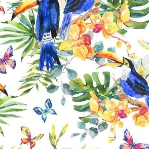 tropical bird toucan and flowers on white