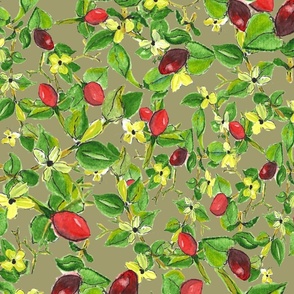 Berries Bushes