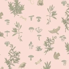 blush WOODLAND