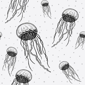 Black and White  Jellyfish 