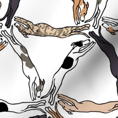 Assorted triangulating greyhounds on white Large Scale