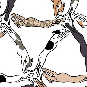 Assorted triangulating greyhounds on white Large Scale