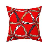 Assorted triangulating greyhounds on red Large Scale