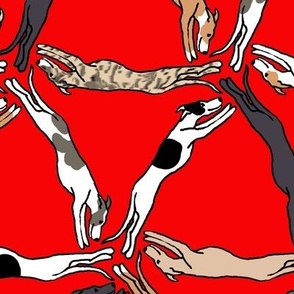 Assorted triangulating greyhounds on red Large Scale