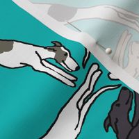 Assorted triangulating greyhounds on teal Large Scale
