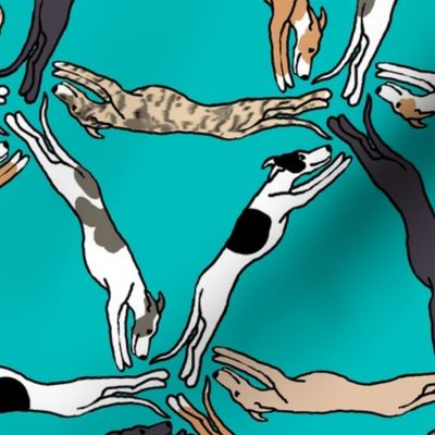 Assorted triangulating greyhounds on teal Large Scale