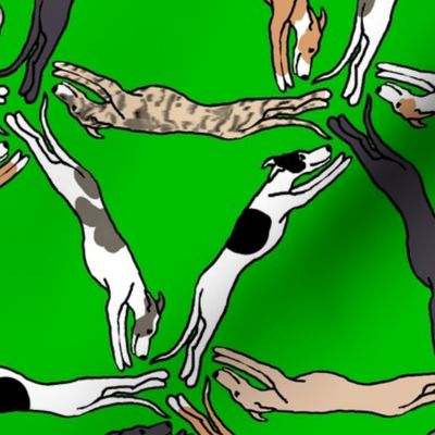 Assorted triangulating greyhounds on green Large Scale