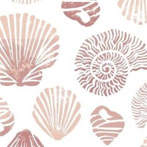 Shell Collector Shell pinks