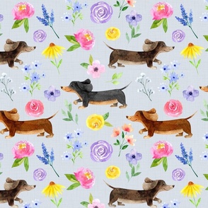 Dachshund Floral//Blue - Large