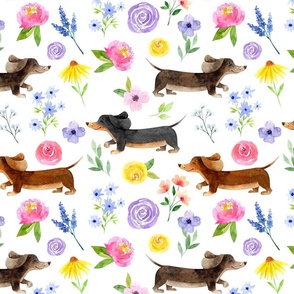 Dachshund Floral//White - Large