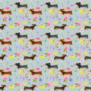 Dachshund Floral//Green - Med