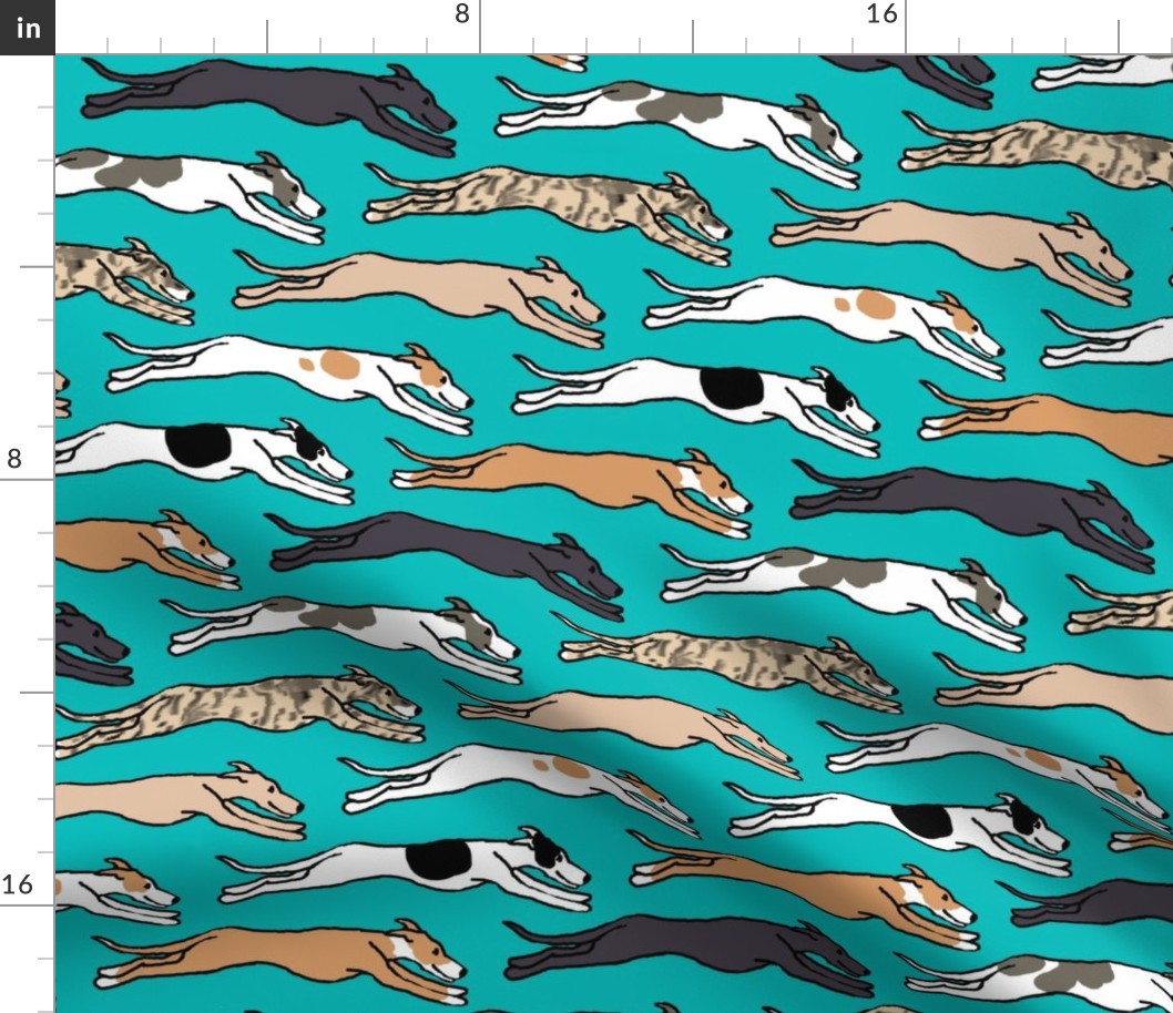 Assorted greyhounds racing endlessly on teal Large Scale