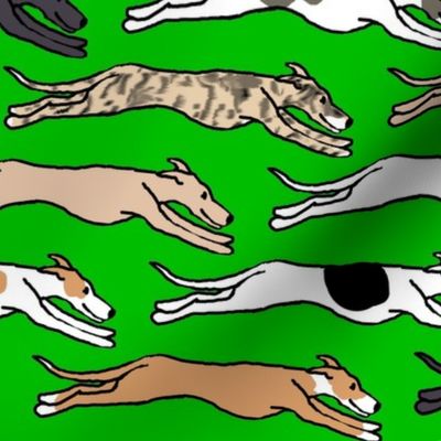 Assorted greyhounds racing endlessly on green Large Scale