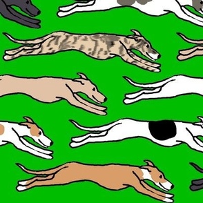 Assorted greyhounds racing endlessly on green Large Scale