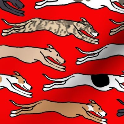 Assorted greyhounds racing endlessly on red Large Scale