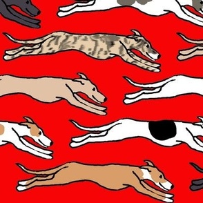 Assorted greyhounds racing endlessly on red Large Scale