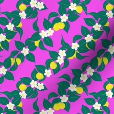 Sweet Summer / Medium Scale / Pink Lemonade Lemon Print