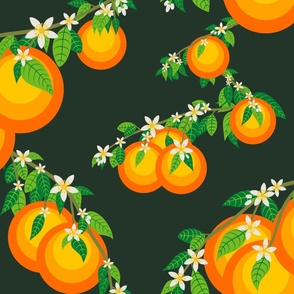 Orange Blossom Fruit jumbo trailing mid century modern - dark background