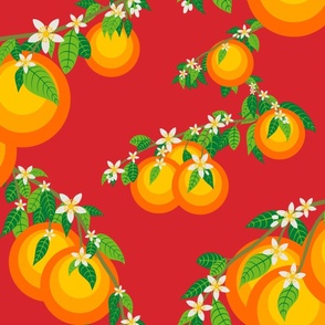 Orange Blossom Fruit Large Trailing mid century modern - red background