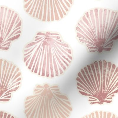 scallop shells white