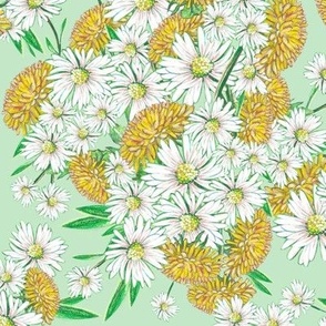 Daisies and dandelions on a soft green background